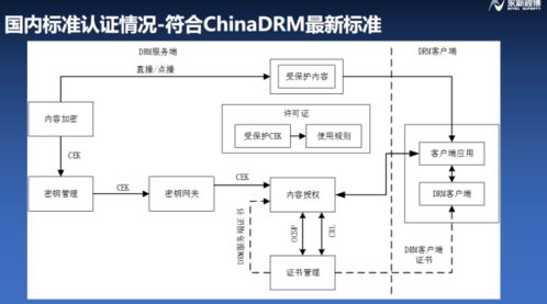 浦江论道 永新视博李自东 符合融媒体安全的版权保护系统 构建iptv行业健康生态